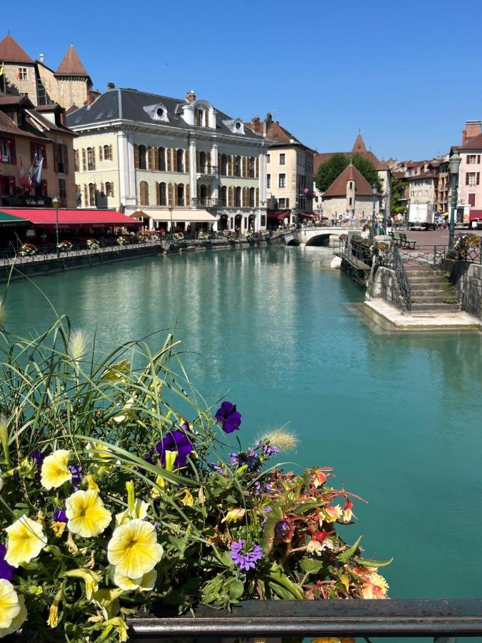 View Point Lake And Mountains Annecy Luaran gambar